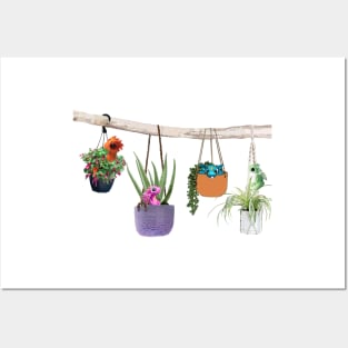 Hanging Dragon Planter babies Posters and Art